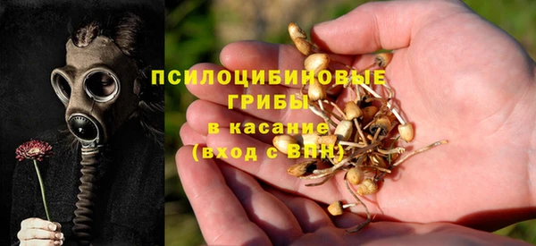 соль курить ск Аркадак
