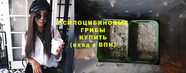 спайс Арсеньев