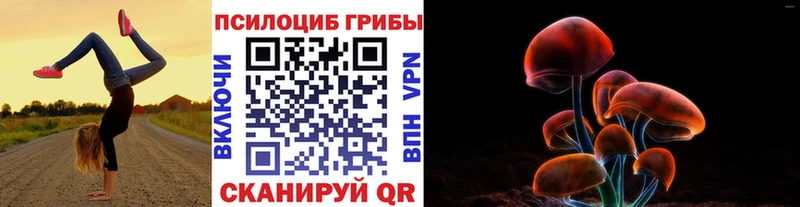 МЕГА маркетплейс  Бежецк  Псилоцибиновые грибы мицелий 